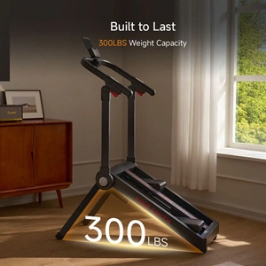 KİNGSMİTH STAİR STEPPER STE001